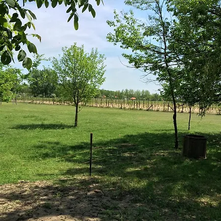 Гостевой дом Nadas Apartman *