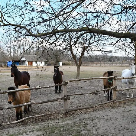 Πανσιόν Nadas Apartman